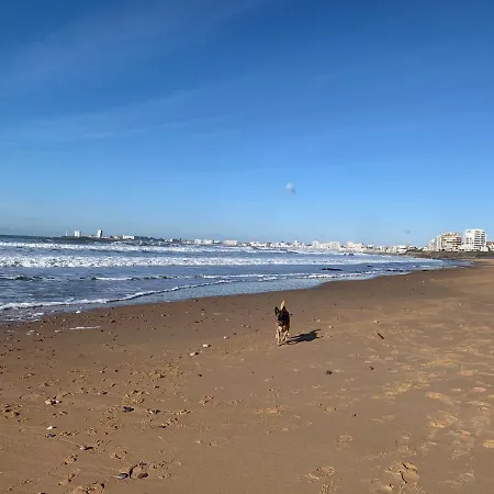 Vue Sur Talmont-Saint-Hilaire