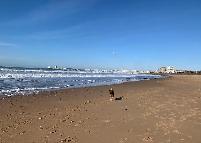 Vue Sur Talmont-Saint-Hilaire
